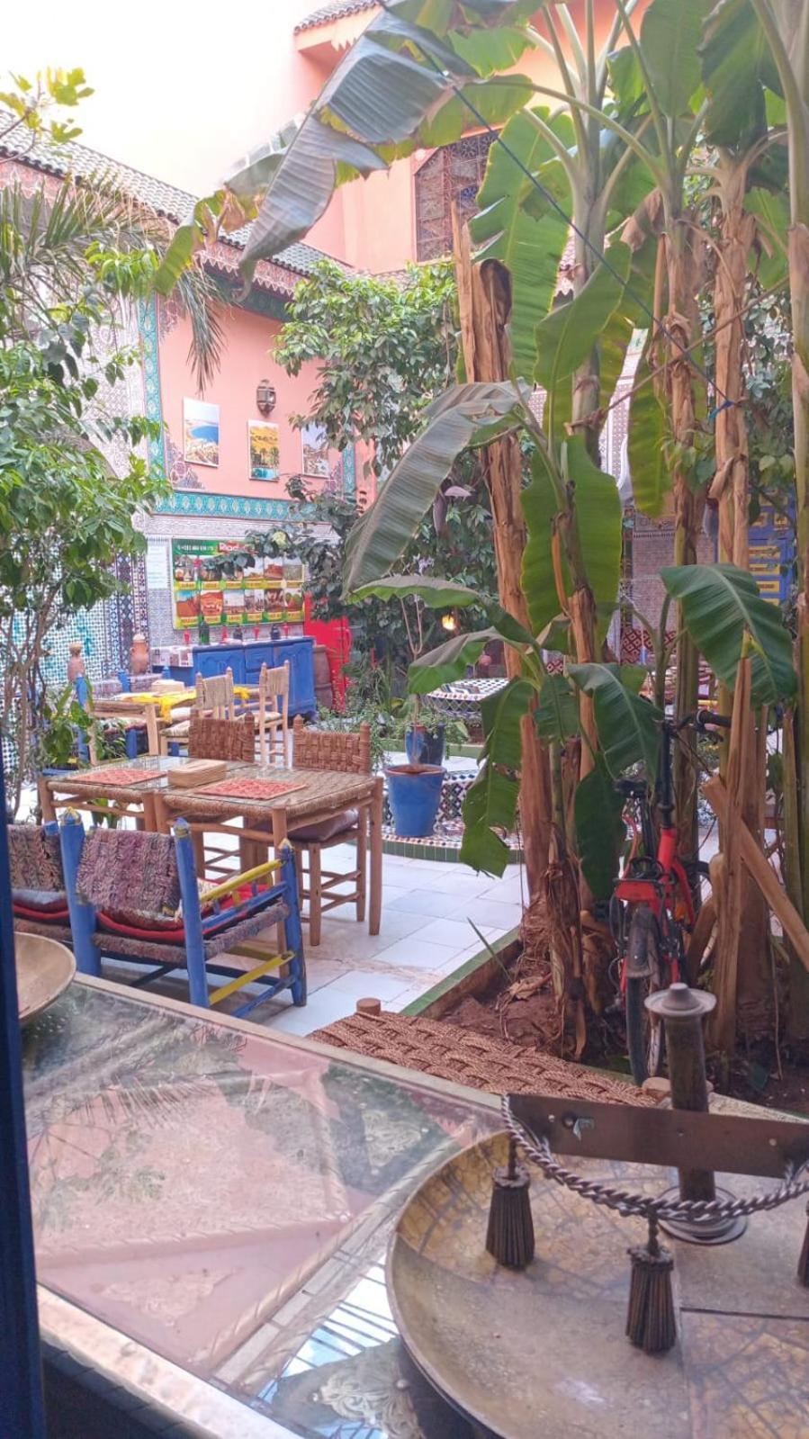 Riad Carole - Perfect For Families & Groups Marraquexe Exterior foto